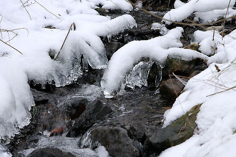 Icy Water  Geotagged,The Netherlands