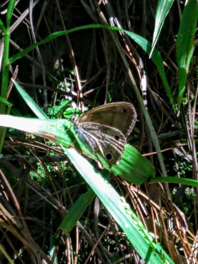 IMG_20181227_145757550  Colombia,Geotagged,Winter