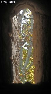 a fortified view looking out of a window in a Crusaders' fort, we see the lovely Platanus orientalis tree.  Fall,Geotagged,Israel,Oriental Plane,Platanus orientalis