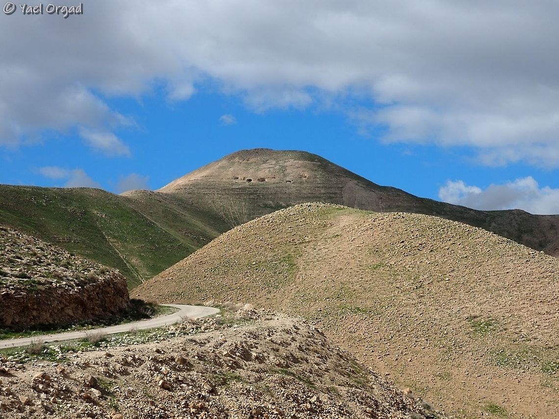 Sartaba Peak this peak is very prominent in its surrounding, standing 377m above sea level (the Jordan Valley beneath it is 300 m below sea level, so it&#039;s much more impressive there). <br />
in Biblical times, when messages were passed using bonfires on peaks, this was one of the peaks that helped pass messages from Jerusalem to the Galilee and north.<br />
During the rule of the Maccabees (that rebelled against the Greek, and had a small kingdom in the region after that) there was a fortress on the peak of the mountain. <br />
<br />
these are the slopes:<br />
<figure class="photo"><a href="https://www.jungledragon.com/image/89705/the_slopes_of_sartaba_peak.html" title="The slopes of Sartaba Peak"><img src="https://s3.amazonaws.com/media.jungledragon.com/images/3519/89705_thumb.JPG?AWSAccessKeyId=05GMT0V3GWVNE7GGM1R2&Expires=1767225610&Signature=lSWxexvHDJ7EpurGo8Kdb%2FeNw%2Fw%3D" width="200" height="150" alt="The slopes of Sartaba Peak I think the slopes of this mountain are really unique and beautiful. <br />
<br />
this is the mountain&#039;s peak: <br />
https://www.jungledragon.com/image/89704/sartaba_peak.html Israel,Jordan Valley,Sartaba" /></a></figure> Geotagged,Israel,Jordan Valley,Sartaba,Winter