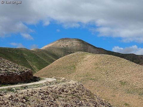 Sartaba Peak this peak is very prominent in its surrounding, standing 377m above sea level (the Jordan Valley beneath it is 300 m below sea level, so it's much more impressive there). 
in Biblical times, when messages were passed using bonfires on peaks, this was one of the peaks that helped pass messages from Jerusalem to the Galilee and north.
During the rule of the Maccabees (that rebelled against the Greek, and had a small kingdom in the region after that) there was a fortress on the peak of the mountain. 

these are the slopes:
https://www.jungledragon.com/image/89705/the_slopes_of_sartaba_peak.html Geotagged,Israel,Jordan Valley,Sartaba,Winter