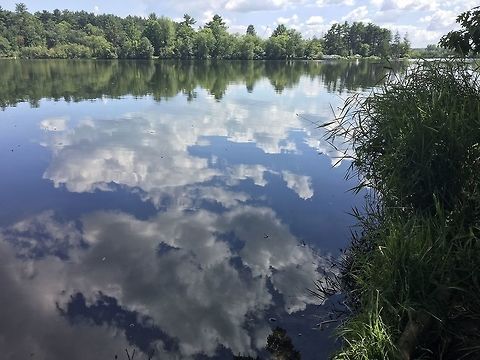 Reflections in the water The beautiful half moon lake in Eau Claire WI that is near and dear to my heart for all the SNAPPERS it holds! Was looking for the biggest guy &ldquo;buddy&rdquo; that day when I noticed the clouds were reflecting off the water perfectly, and had to take a pic! Geotagged,Lake,Reflection,Reflections,United States,half moon lake,water