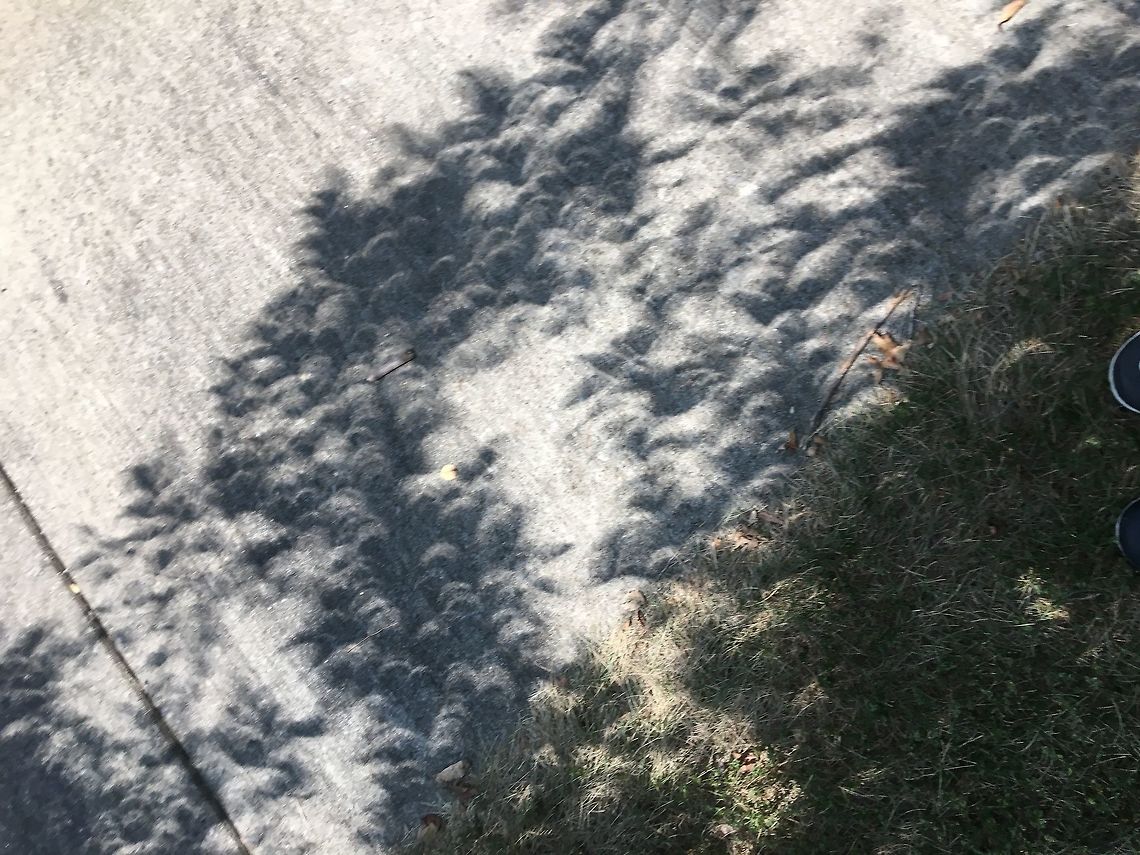 Rare Shadow Bands: Total Eclipse Phenomenon Shadows of leaves on the ground? Nope! These are actually an example of the extremely rare phenomenon called shadow &ldquo;snakes&rdquo; or bands. There are some theories, but no definitive evidence as to what they are. It may very well be one of science&rsquo;s greatest mysteries! I had done my reading before the trip and was absolutely STOKED that we got to see it when it&rsquo;s so rare. At first i thought it was just leaves too, but to our surprise they started rippling, and there were no trees! <br />
<br />
Read more about shadow bands here: <a href="https://eclipse2017.nasa.gov/exploring-shadow-bands" rel="nofollow">https://eclipse2017.nasa.gov/exploring-shadow-bands</a> Geotagged,Summer,United States,rare phenomena,shadow bands,shadow snakes,solar eclipse,total solar eclipse,totality