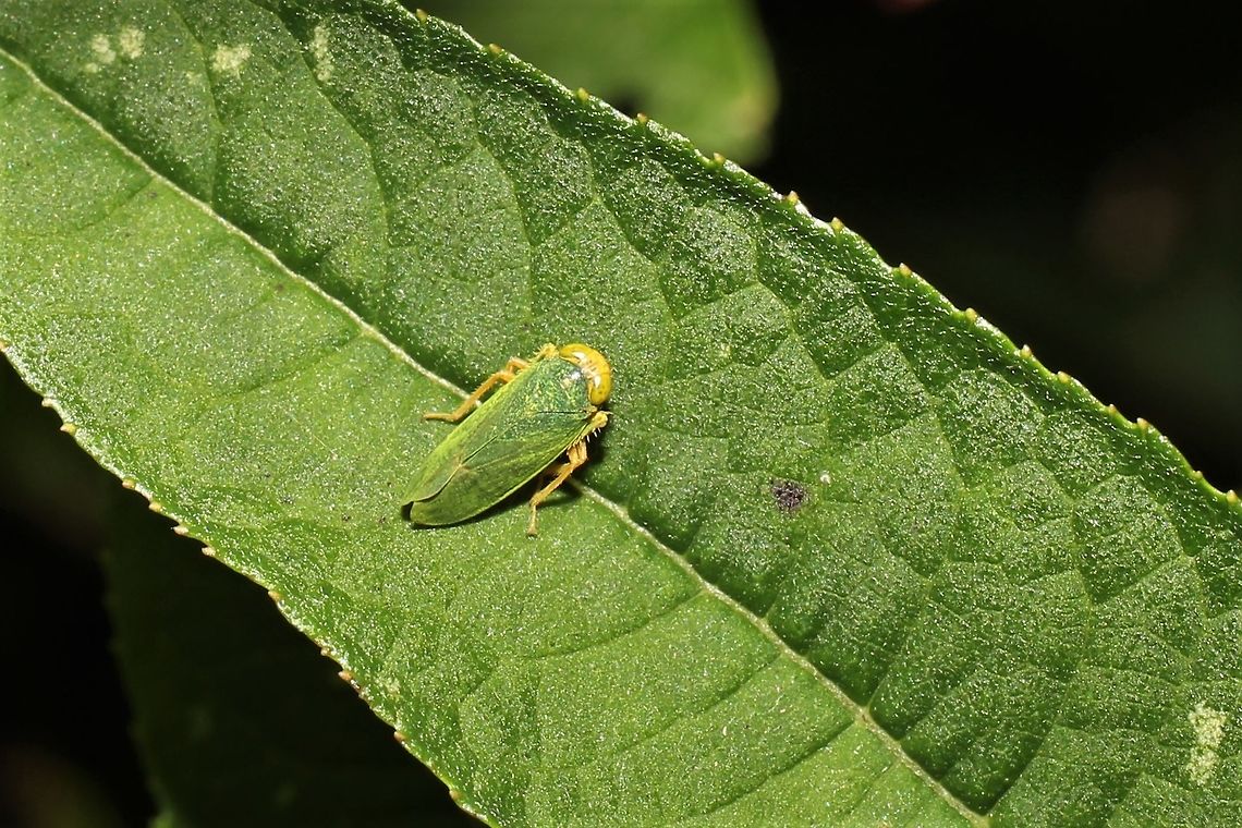 Color matching skills  Geotagged,Summer,United States