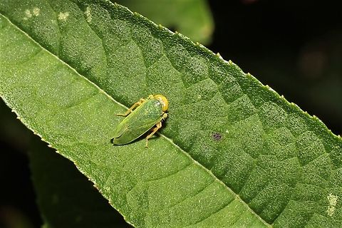 Color matching skills  Geotagged,Summer,United States