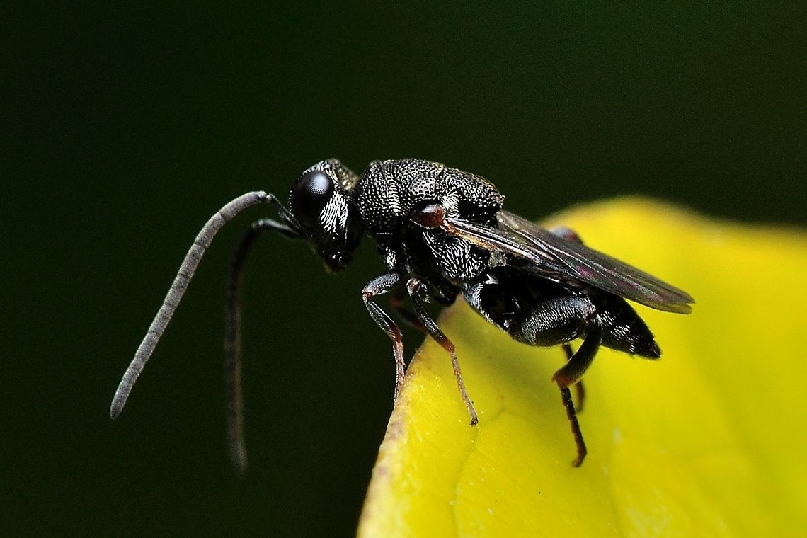 who i'm?  Fall,Geotagged,Malaysia