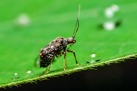 who i'm  Geotagged,Malaysia,Winter