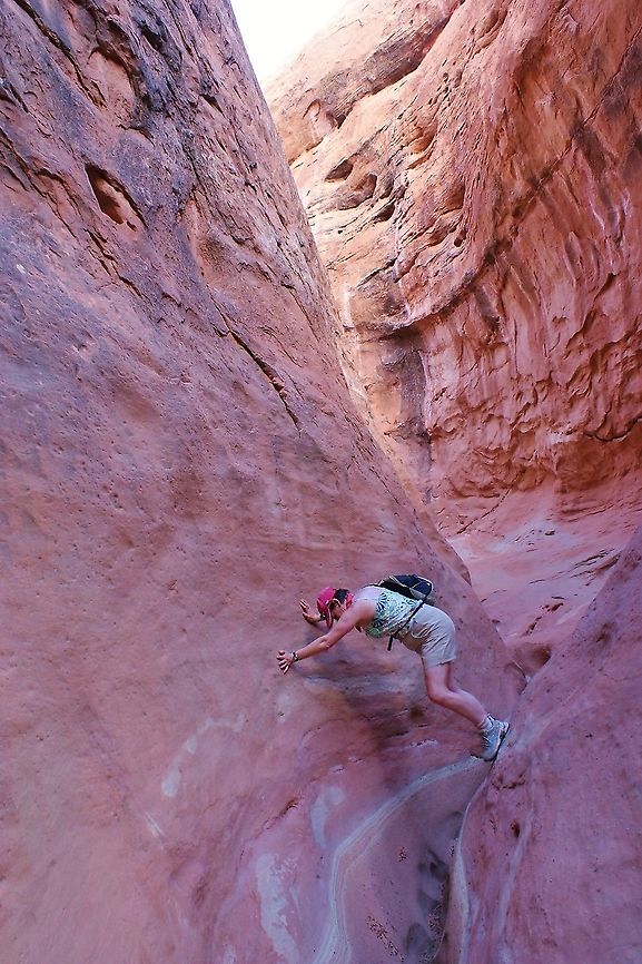 Llewellyn Gulch, Utah Slot Canyon, containing Midget-faded Rattlesnake Llewellyn Gulch,Utah