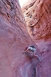 Llewellyn Gulch, Utah Slot Canyon, containing Midget-faded Rattlesnake Llewellyn Gulch,Utah