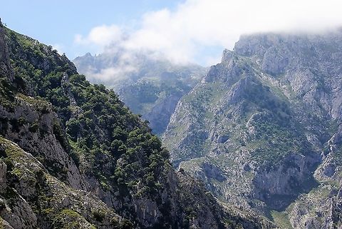 Picos de Europa near the Garganta de Cares The Cares gorge is a sublime walk, amongst these limestone mountains. Cantabria,Cares Gorge,Picos de Europa,Spain