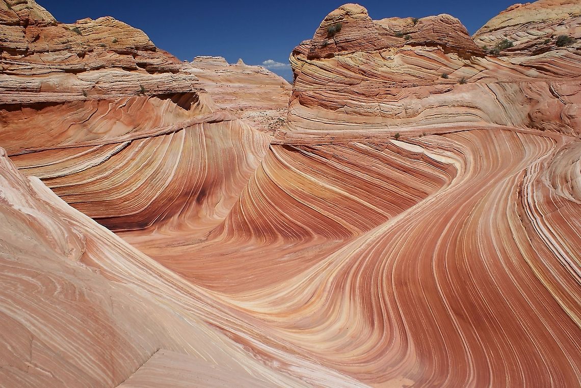The Wave about noon With very little shade about noon (timing of photo still on UK BST)<br />
<a href="https://www.thewave.info/" rel="nofollow">https://www.thewave.info/</a> Arizona,Navajo Sandstone,North Coyote Buttes,The Wave