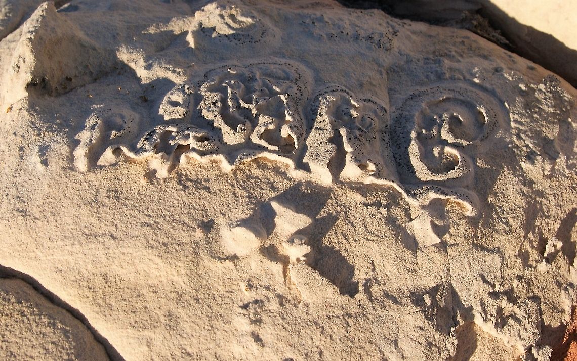 Crustose lichen, Polysporina gyrocarpa Found at White Pocket - Looks just like a script. Arizona,Polysporina gyrocarpa,Vermilion Cliffs,White Pocket,crustose lichen