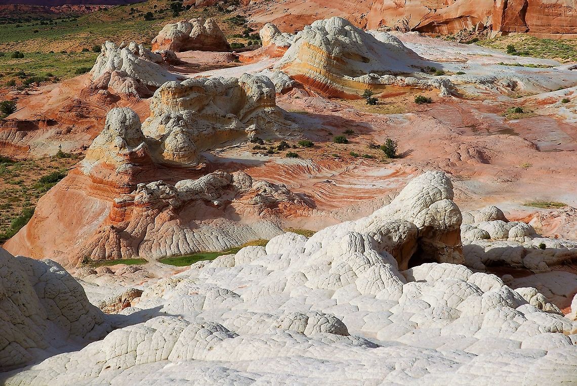 Looking down on some of the fantastical colours at White Pocket Some of the wonderfully coloured sandstone on show at White Pocket plus the grey/white carapace of &quot;tortoises&quot;??? Arizona,Vermilion Cliffs,White Pocket