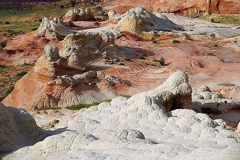 Looking down on some of the fantastical colours at White Pocket Some of the wonderfully coloured sandstone on show at White Pocket plus the grey/white carapace of "tortoises"??? Arizona,Vermilion Cliffs,White Pocket