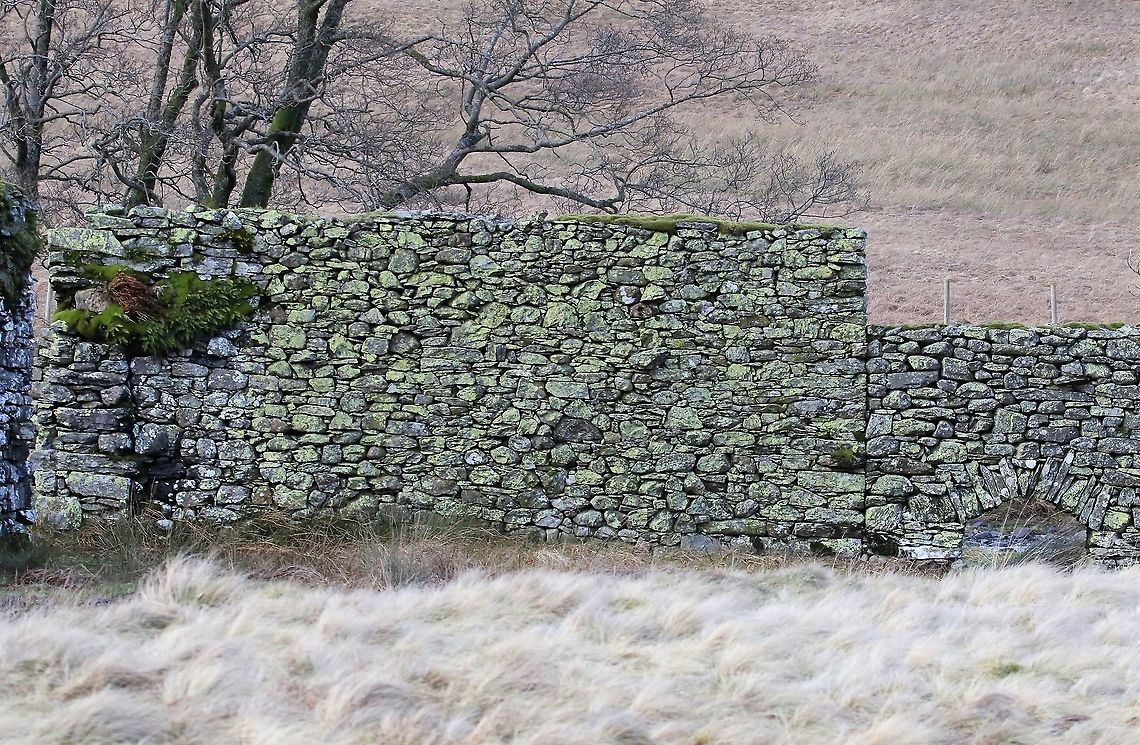 3.6 metre Medieval Drystone Wall Built in in the late 15th century, this is shows part of the walls built without mortar to contain deer in the Buck Park enclosure attached to Shap Abbey.  The enclosure is intact (enclosing 1.3 hectares) and the majority of the walls are still at the full height. Cumbria,Drystone Wall,Wetsleddale reservoir