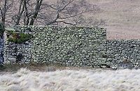 3.6 metre Medieval Drystone Wall Built in in the late 15th century, this is shows part of the walls built without mortar to contain deer in the Buck Park enclosure attached to Shap Abbey.  The enclosure is intact (enclosing 1.3 hectares) and the majority of the walls are still at the full height. Cumbria,Drystone Wall,Wetsleddale reservoir