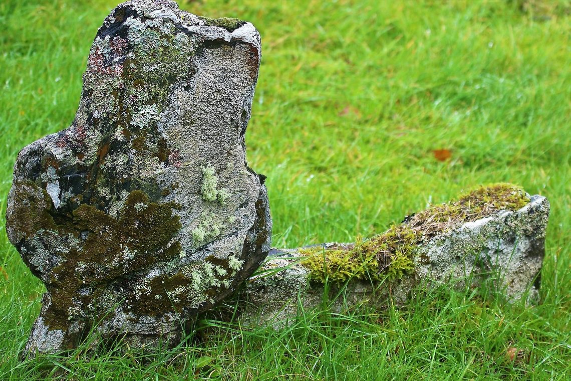 Mixed lichens and mosses on historic gravestone Inverlussa As yet unidentified lichens Inverlussa,Isle of Jura,Scotland