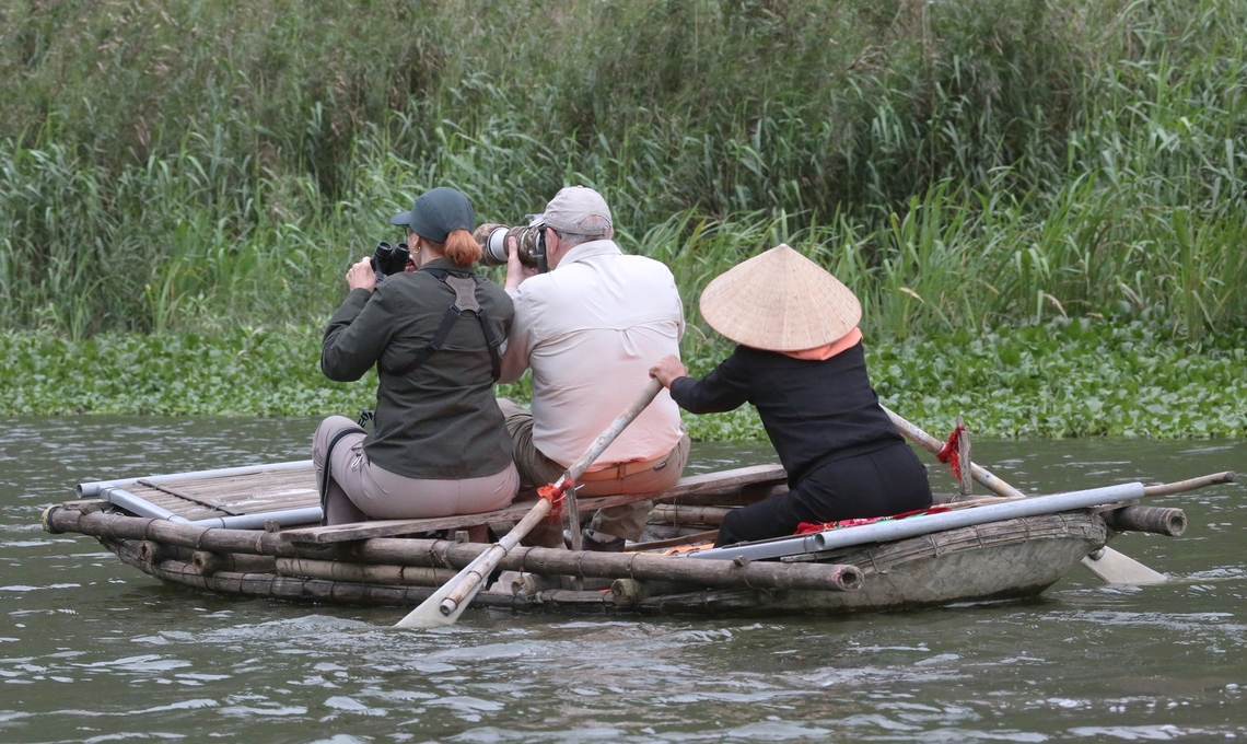 Boat trip in Van Long Nature Reserve to see Delacour's Langurs  Homo sapiens,Ninh Binh,Van Long Nature Reserve