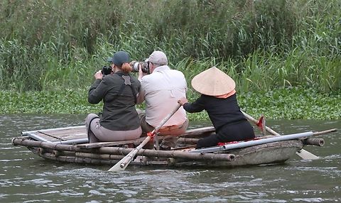 Boat trip in Van Long Nature Reserve to see Delacour's Langurs  Homo sapiens,Ninh Binh,Van Long Nature Reserve