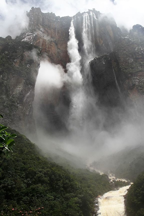Angel Falls Salto Angel in Canaima National Park. Travel up the Rio Carrao from the Canaima Falls. Angel Falls flow into the Rio Churun falling from Auyun Tepui - the highest uninterrupted falls in the world (total fall of 979 metres, - 807 metres of freefall) - You can swim at the bottom, although not on this day because of the volume of water coming down. Angel Falls,Canaima National Park,Salto Angel