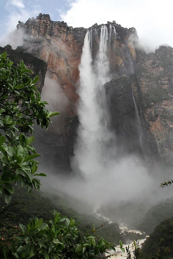 Angel Falls Salto Angel falling from Auyun Tepui in the Canaima National Park Angel Falls,Canaima National Park,Salto Angel