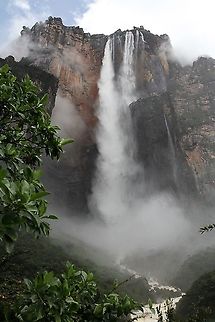Angel Falls Salto Angel falling from Auyun Tepui in the Canaima National Park Angel Falls,Canaima National Park,Salto Angel
