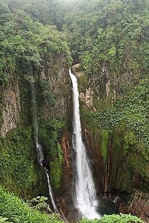 Catarata del Toro A 90 metre drop into an extinct volcano high up on the spine of Costas Rica.  The highest fall in Costa Rica - with amazing humming birds, well worth the stop and the US$ 10 entry Catarata del Toro,Costa Rica,Waterfall