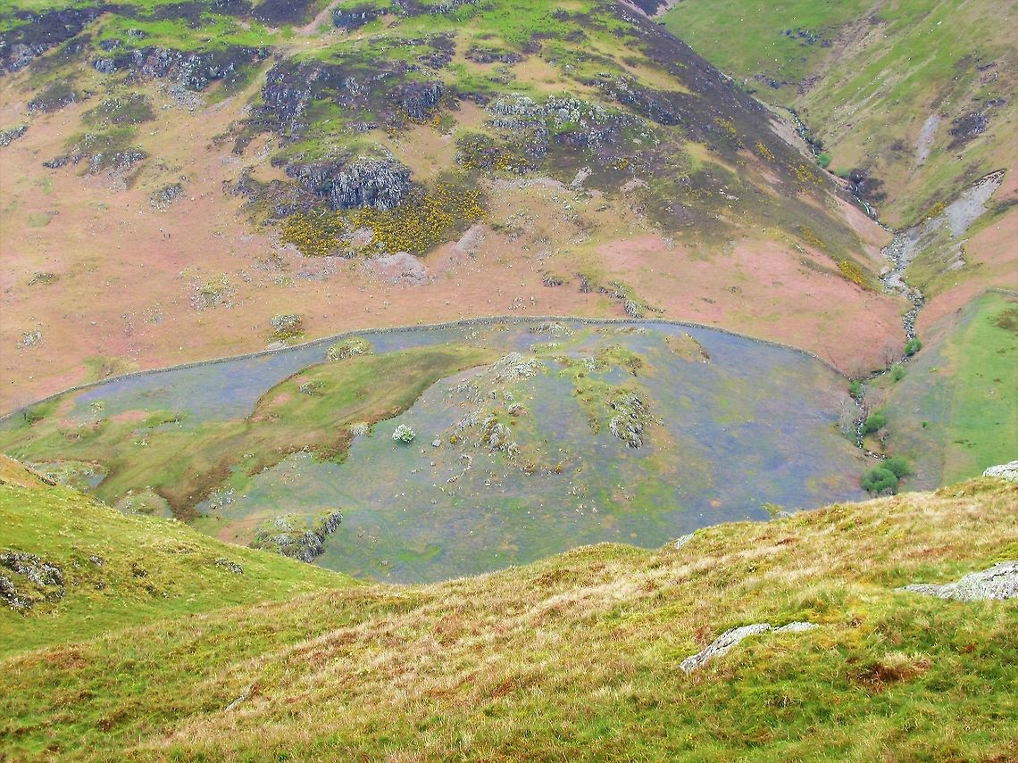 Rannerdale Bluebells From the fells above, the bluebells stand out with the trees gone Bluebells,Hyacinthoides non-scripta,Lake District,Rannerdale