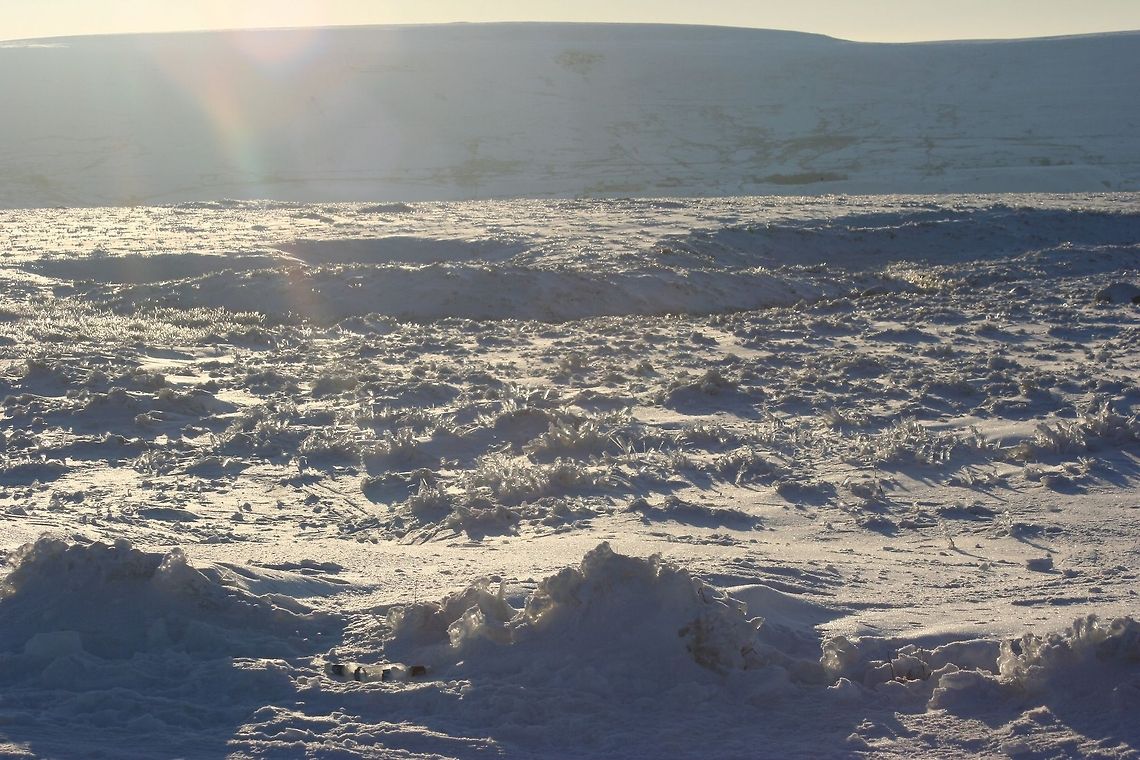 Ice and Snow Ice and snow field in the hills of Wales, U.K. Geotagged,United Kingdom