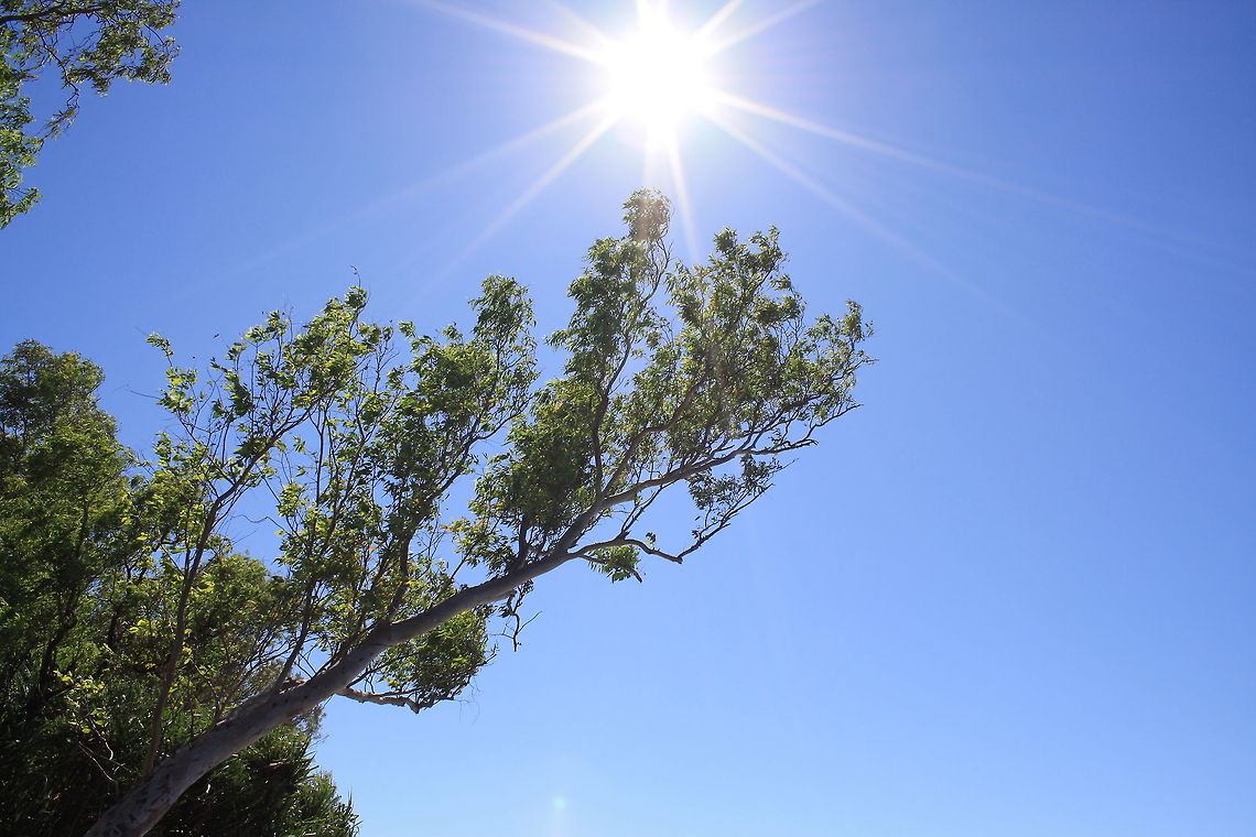 Sun  Sun
