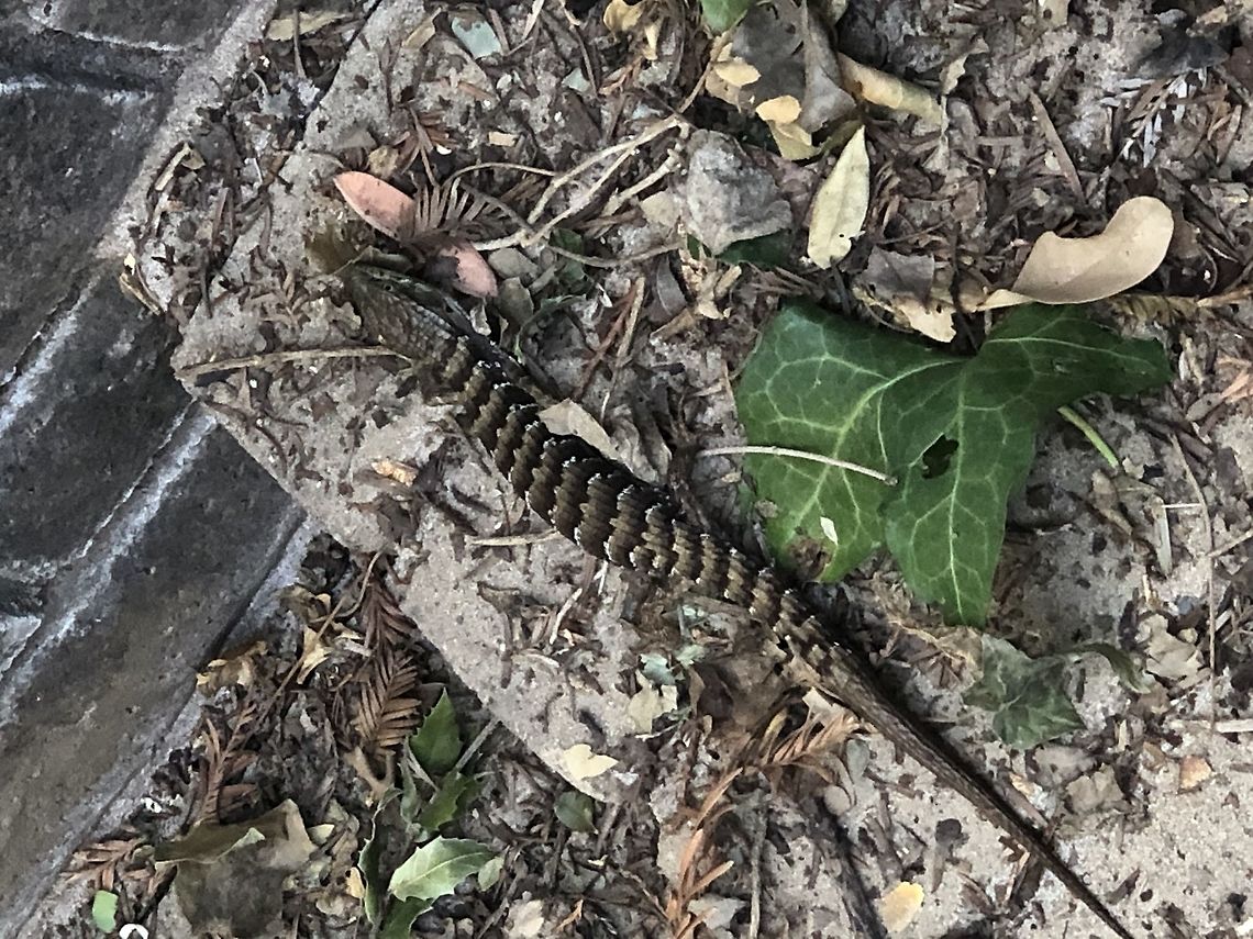 BE39CDC6-32D4-4DFF-BF42-D4FF04A4DB2F  Geotagged,United States