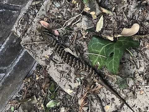 BE39CDC6-32D4-4DFF-BF42-D4FF04A4DB2F  Geotagged,United States