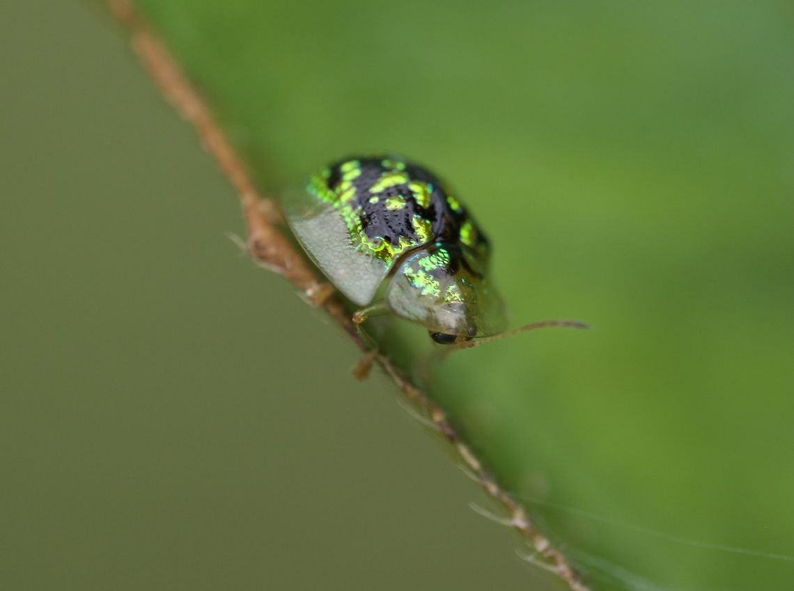 483CE36D-23D0-47E7-AF81-7FFCB9AF3653