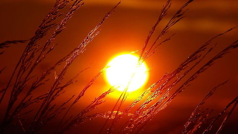 Sunset after a forest fire Another sunset after a forest fire sunset