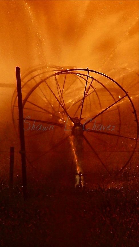 Sprinklers in a farmers field at sunset Photo of the sprinklers in a farmers field at sunset. sunset