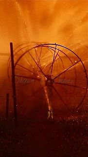 Sprinklers in a farmers field at sunset Photo of the sprinklers in a farmers field at sunset. sunset