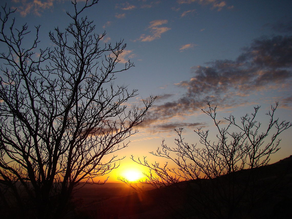 Desert sunrise in the northwest desert sunrise up in the hills around where I live in the Northwest. sunrise