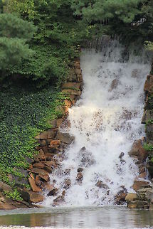 LongWood Gardens Waterfall  Waterfall