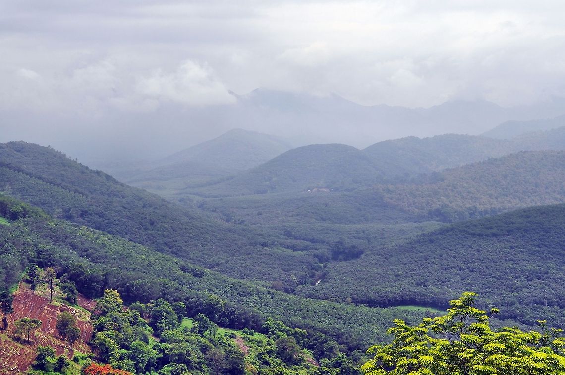 A view of the hills and valley at Kuttikanam, Idukki, Kerala A view of the hills and valley at Kuttikanam, Idukki, Kerala. Geotagged,India