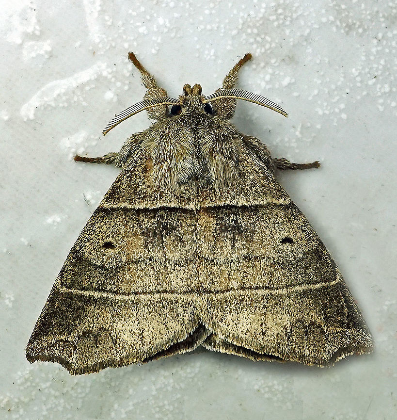 #119 Dapa, Valle Del Cauca 21900m