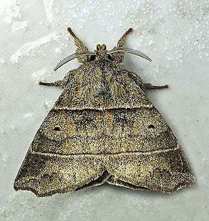 #119 Dapa, Valle Del Cauca 21900m