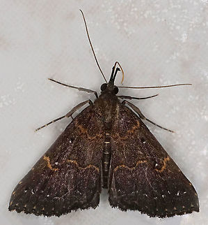 #610 Dapa, Valle Del Cauca
2100m