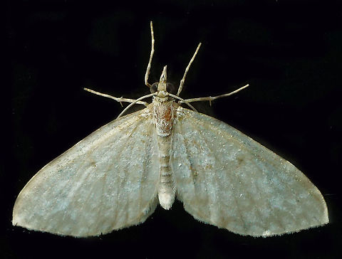 #648 Dapa, Valle Del Cauca
2100m