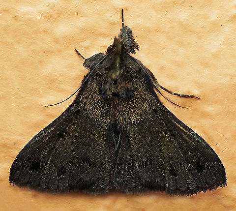 #672 Dapa, Valle Del Cauca
2100m