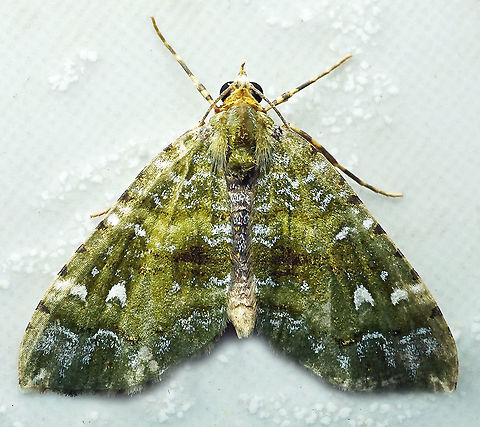 #676 Dapa, Valle Del Cauca
2100m