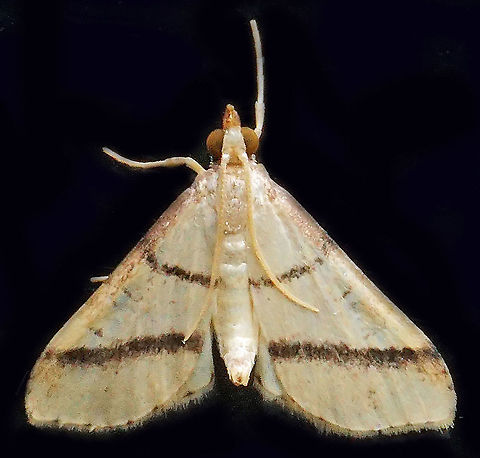 #697 Dapa, Valle Del Cauca
2100m