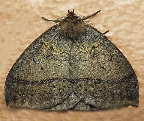 #764 Dapa, Valle Del Cauca
2100m