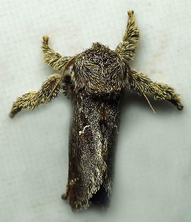 #800 Dapa, Valle Del Cauca
2100m