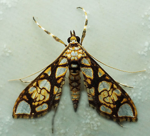 #737 Dapa, Valle Del Cauca
2100m