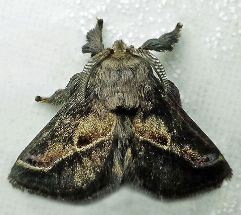 #823 Dapa, Valle Del Cauca
2100m